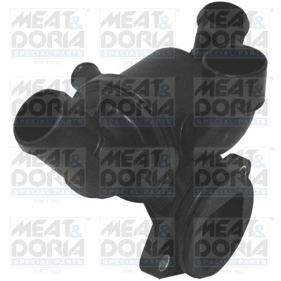 Thermostat, coolant